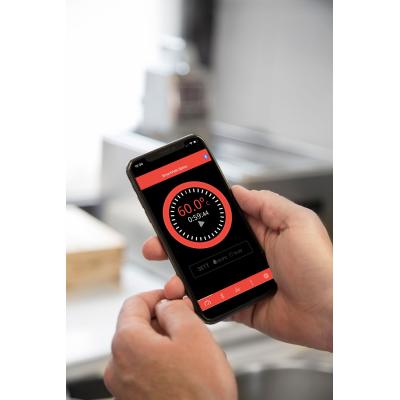 Ponorný cirkulátor na vaření sous vide SmartVide 9 , Sammic, Stříbrná, 230V/2000W, 124x140x(H)360mm | 1180140